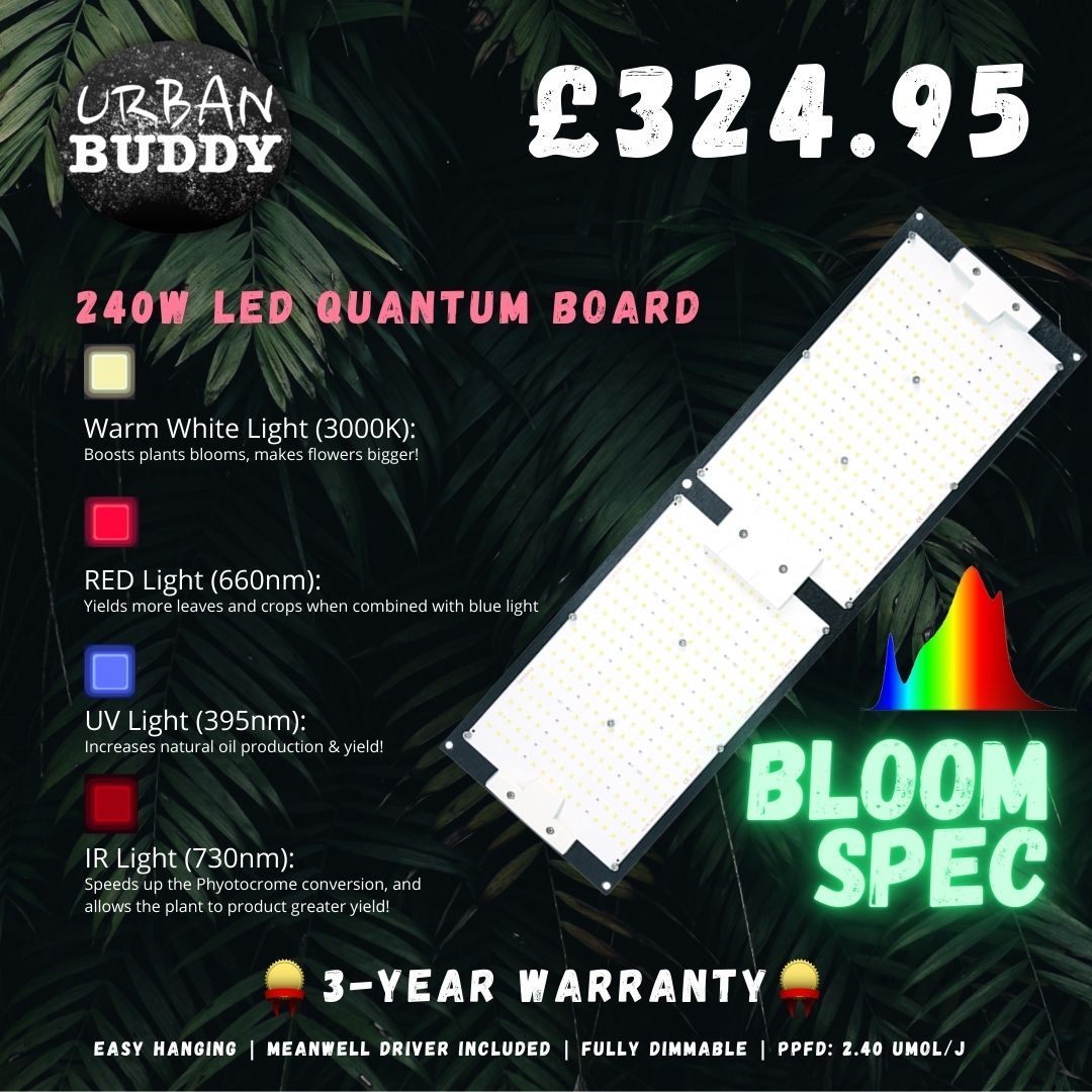 240w LED Quantum Board (Bloom) - East Anglia Hydroponics